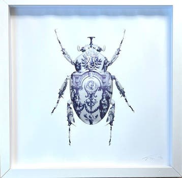 Magnus Gjoen (1979) - Delft Scarab