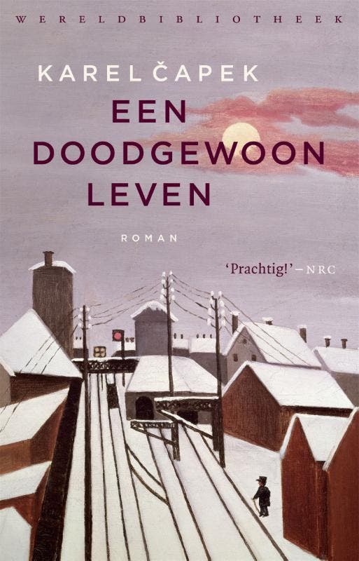 Een doodgewoon leven 9789028427297 Karel apek, Boeken, Romans, Gelezen, Verzenden
