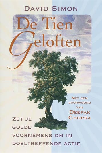 De Tien Geloften - David Simon 9789069637570, Boeken, Verzenden, Zo goed als nieuw, David Simon