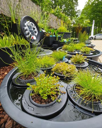 Vijverplanten en Waterplanten | Ruime keuze in Wintelre, Nieuw