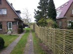 Wilgentenenschutting, ambachtelijk gevlochten door de vakman, Nieuw, Hout, 3 tot 6 meter, 2 meter of meer