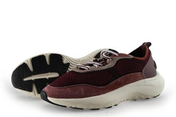 The Hoff Brand Sneakers in maat 41 Paars, Kleding | Dames, Overige kleuren, Verzenden, The Hoff Brand, Sneakers of Gympen