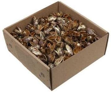 Bakuli Goud Wash 400 gr, Ophalen of Verzenden, Nieuw