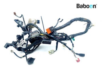 Kabelboom Honda FJS 600 2005-2010 +ABS Silverwing (FJS600, Motoren, Verzenden, Gebruikt