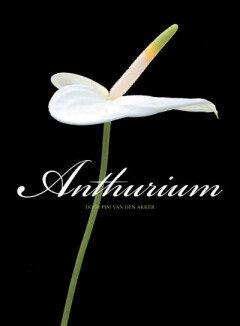 Anthurium (Goed), Verzenden, Gelezen, Pim van den Akker