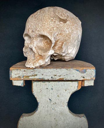 Memento mori met anatomische schedel in gips op een gelakt