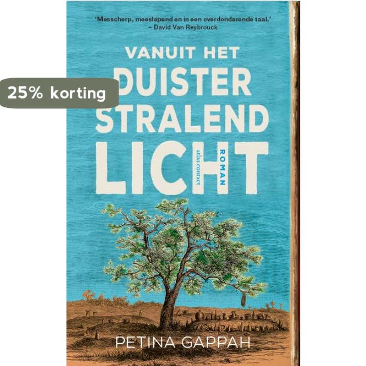 Vanuit het duister stralend licht 9789025453978, Boeken, Romans, Zo goed als nieuw, Verzenden