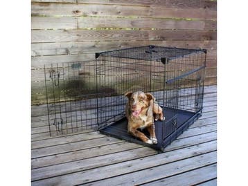 Veiling - Lucky Dog bench met tussenschot 106x71x78cm, Nieuw