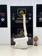 Renault Master ruitensproeier tank bj.2021 art.2891000023R, Gebruikt, Renault