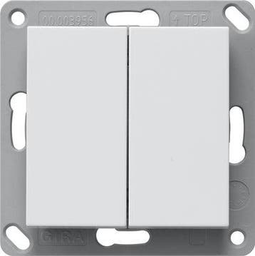 Gira 246227 Bluetooth Wandzender 2 Gang Systeem 55 - 246227, Verzenden, Nieuw, Overige typen