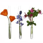 Reageerbuisjes glas 2 gaatjes 10 cm Ø1.5 cm set 12 stuks, Ophalen of Verzenden, Nieuw