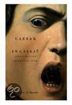 Oorlog in Gallie / Salamander Klassiek 9789025306663, Boeken, Verzenden, Gelezen, Gaius Julius Caesar