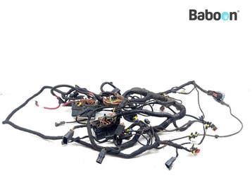 Kabelboom Can-Am Spyder RS-S SM5 2013, Verzenden, Gebruikt