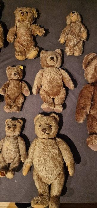 Steiff - Teddybeer - 1960-1970 - Duitsland