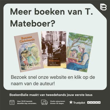 Mattenmaker van steenwyk 9789029705783 T. Mateboer, Verzenden, Gelezen, T. Mateboer