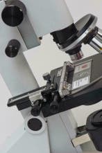 EUROMEX schoolmicroscopen + LED-lamp - HALVE PRIJS !!, Verzenden, Nieuw, 400x tot 1000x, Biologische microscoop