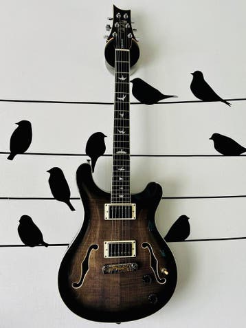 PRS Hollowbody II SE Charcoal Burst, Muziek en Instrumenten, Ophalen, Zo goed als nieuw, Hollow body, Paul Reed Smith