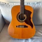 EKO - Ranger VI - - Akoestische gitaar - Italië - 1967, Muziek en Instrumenten, Nieuw