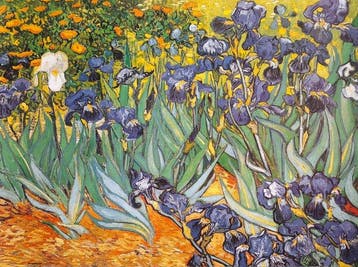 Vincent van Gogh (1853-1890) (after) - Irises, 1889 -, Antiek en Kunst