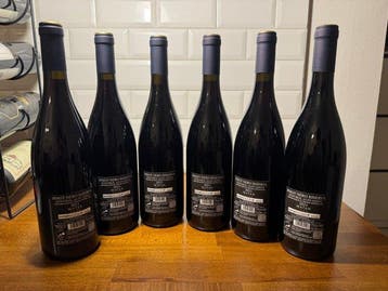 2021 Pfitscher, Matan Pinot Nero - Trentino Alto Adige, Nieuw