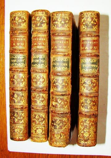 Buffon - Histoire naturelle des oiseaux - 1772