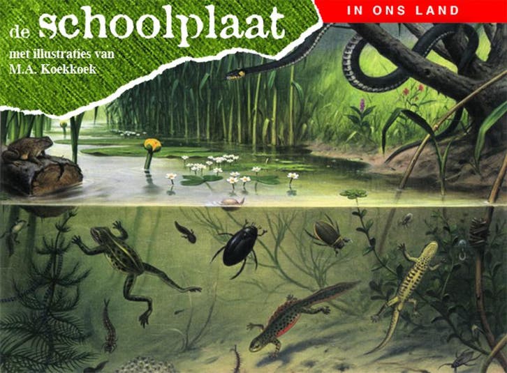 De schoolplaat / In ons land 9789075531343, Boeken, Kinderboeken | Kleuters, Gelezen, Verzenden