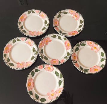 Villeroy & Boch - Schotel (6) - wild-Rose - Porselein