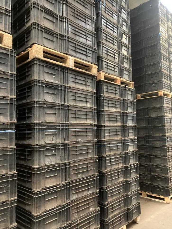 gebruikte kratten teeltkratten 60x40x24 cm stapelkratten, Doe-het-zelf en Verbouw, Kratten en Dozen, 50 tot 75 cm, Gebruikt, 40 tot 60 cm