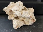 White Moonstone Selected MS7    11KG / 32x24x23cm, Dieren en Toebehoren, Vissen | Aquaria en Toebehoren, Ophalen of Verzenden
