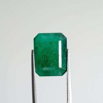 1 pcs Groen Smaragd - 8.70 ct - Guild Gem Laboratory, Nieuw