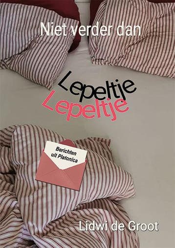 Niet verder dan lepeltje lepeltje 9789462665040, Boeken, Literatuur, Verzenden, Gelezen, Lidwi De Groot