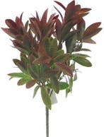 Gekleurd Blad Bay Leaf Bush Groen/Bruin 33 cm, Ophalen of Verzenden, Nieuw