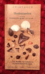 Zwart goud 9789076469065 C. Dewes, Verzenden, Gelezen, C. Dewes