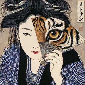 MEDSAN - The Tiger Behind the Fan () - UNIQUE WORK
