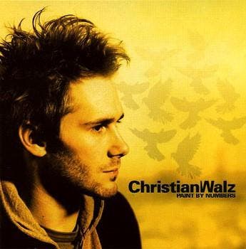 cd - Christian Walz - Paint By Numbers, Cd's en Dvd's, Cd's | Overige Cd's, Zo goed als nieuw, Verzenden