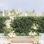 vidaXL Trouwrand Goud 220 x 45 x 200 cm Staal, Verzenden, Nieuw