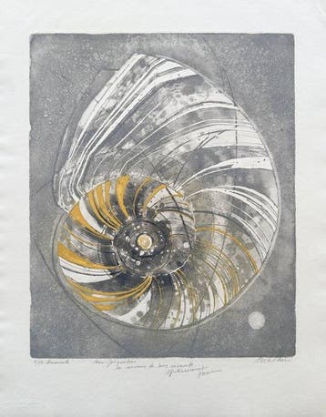 Anne Walker (1933) - Ammonite, Antiek en Kunst, Antiek | Overige Antiek