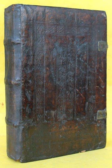 B. De Bustis - Rosarium sermonu(m) predicabilium ad