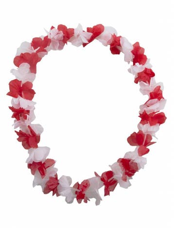 Bloemenslinger rood/wit, Ophalen of Verzenden, Nieuw