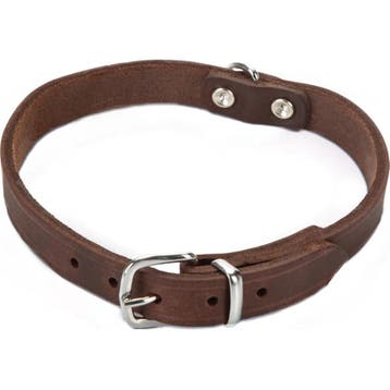 Beeztees Halsband Hond Leer - Bruin - 62 cm x 25 mm, Verzenden, Nieuw