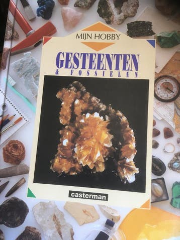 Gesteenten & fossielen / Mijn hobby - R. Oliver, Boeken, Verzenden, Gelezen, R. Oliver