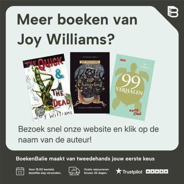 Ninety-Nine Stories of God - Joy Williams 9781781258804, Verzenden, Zo goed als nieuw, Joy Williams