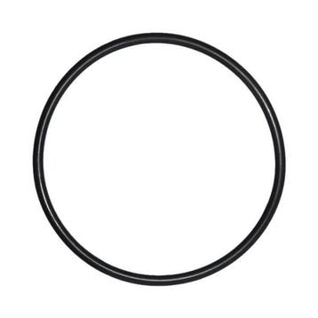 O-Ring voor Deksel Pentair IntelliFlo Whisperflo zwembadpomp, Verzenden, Nieuw