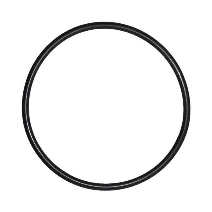O-Ring voor Deksel Pentair IntelliFlo Whisperflo zwembadpomp, Tuin en Terras, Zwembad-toebehoren, Nieuw, Verzenden