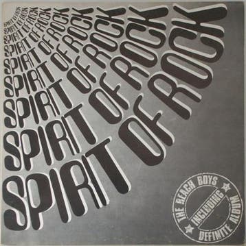 The Beach Boys - The Definite Album, Ophalen of Verzenden, Gebruikt