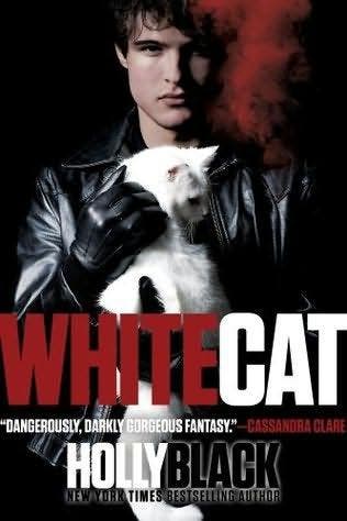 White Cat - EN - Holly Black - Paperback, Boeken, Taal | Engels, Gelezen, Fictie, Holly Black, Ophalen of Verzenden