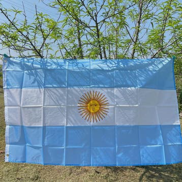 Argentijnse Vlag 90x150cm - Duurzaam Polyester met Zon van M, Verzenden, Nieuw