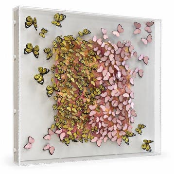 Mike Blackarts - 3D Butterfly Wall Art – Pink, Yellow