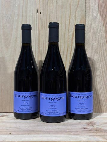 2023 Sylvain Pataille - Bourgogne Rouge - Bourgogne - 3, Verzamelen, Nieuw