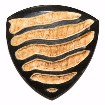 Premium handgemaakte buffelhoorn plectrums, Ophalen of Verzenden, Nieuw